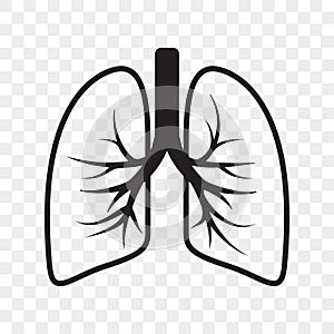 Lungs vector outline icon of cold cough, bronchitis lung disease treatment photo