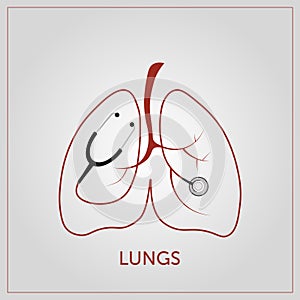 Lungs vectoral illustration. Design of lungs and stethoscope