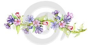 Lungwort herb watercolor border illustration. Medical wild plant with blue flowers on the stem hand drawn decore image. Blooming l