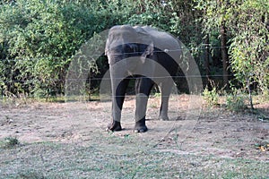 lunugamvehera national park in sri lanka