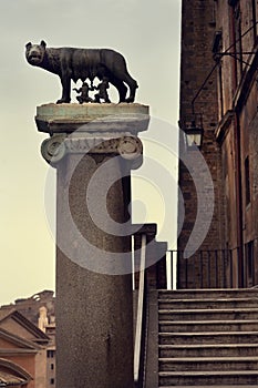 Lupa Capitolina in Rome against the backdrop of old buildings