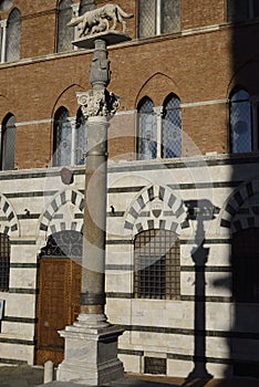 Lupa di Siena