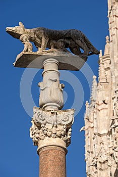 Lupa Senese - Symbol of Siena - Italy