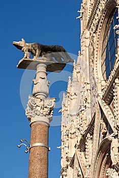 Lupa Senese - Symbol of Siena - Italy