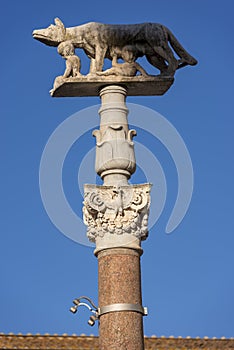 Lupa Senese - Symbol of Siena - Italy