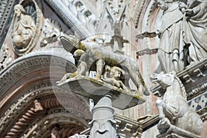 Lupa Senese - Symbol of Siena, Italy photo