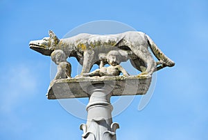 Lupa Senese - Symbol of Siena, Italy photo