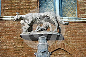 Lupa Senese - Symbol of Siena Italy photo