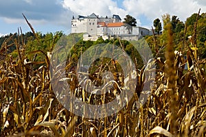 Lupca castle among the ears of ripe grain