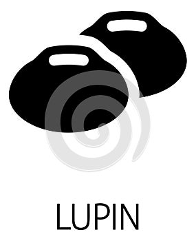 Lupin Bean Legume Food Icon Concept photo