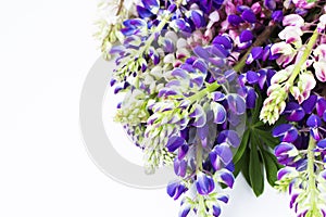 Lupin bouquet of flowers