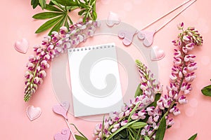 Lupine flower and open blank notepad on pink background. Space