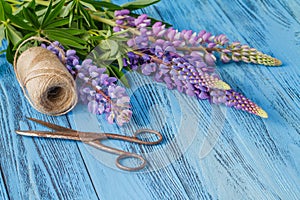 Lupine flowers on a wooden background