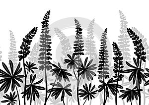 Lupine Plants, Seamless photo