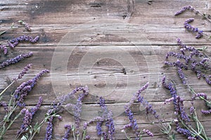 Lupine, wooden photophone with flowers, wooden board with place for text, here is the place for your text