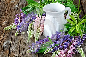 Lupines flowers on wooden and vase