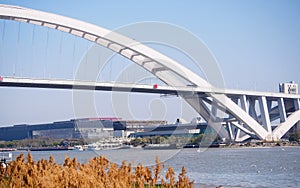 Lupu bridge in sunny day, Shanghai, China