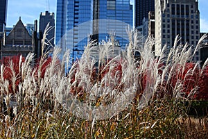 Lurie Garden