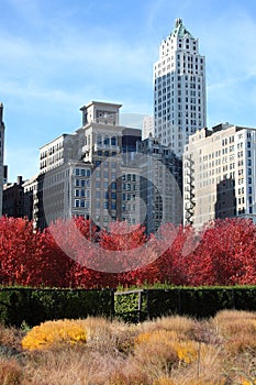 Lurie Garden