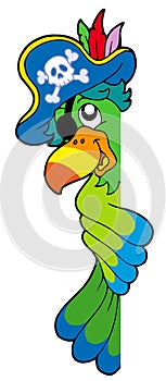 Lurking pirate parrot