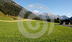 Lush alpine meadow under mountain