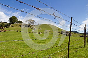 Barbed wire in front of a green pasture and blue skies photo