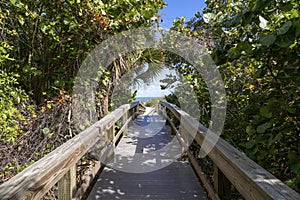 Lush Boardwalk to the Beach, Cocoa Beach, Florida