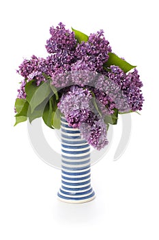 The lush bouquet of freshly cut lilacs in a striped ceramic vase