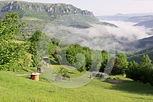 Cevennes countryside, France. The GR 70 and Robert Louis Stevenson photo