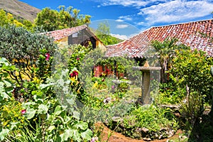 Lush Colorful Garden