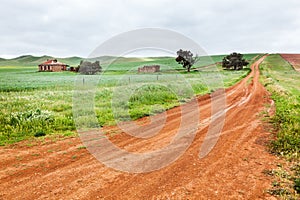 Lush farmland in Australia