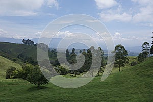 Lush farmland on the way to the Cocora Valley, Valle de Cocora, close to Salento, Eje Cafetero, Colombia photo