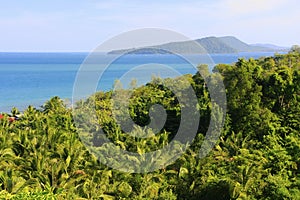 Lush forest of Koh Rong island, Cambodia