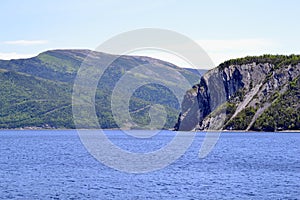 Lush forested landscape and steep cliffs along shore of Bonne Bay