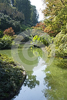 Lush garden