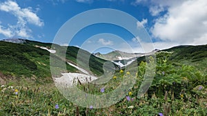 Lush grass and colorful wildflowers grow on the hills