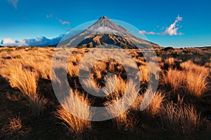 Lush grass and the cone volcano Mount Taranaki, New Zealand at Sunset from Pouakai. Most popular tourist destination.