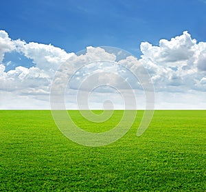 Lush grass field and blue sky with cloud background