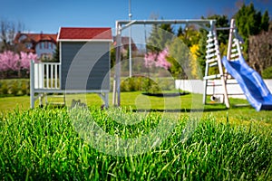 Lush grass in the garden at the house