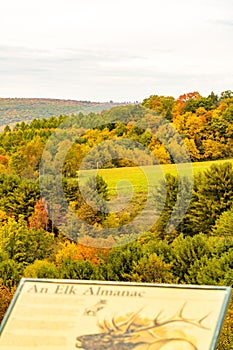 Lush grassy pasture surrounded by a forest of vibrant trees in Run Elk Viewing Area in Benezette