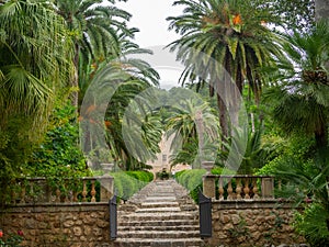 Alfabia Gardens photo
