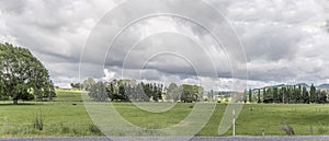 Lush green countryside, near Taupo, Waikato, New Zealand