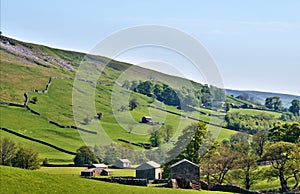 Lush green countryside of the Yorkshire Dales