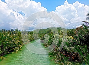 Lush green estuary of Tuburan