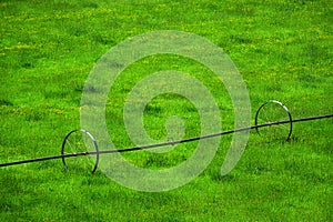 Lush Green Farm Field with Growing Crops and Irrigation Pipe Wheel Lines for Watering Field