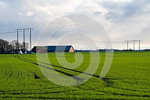 Lush green farm field with red barn and electricity poles in typical farmland landscape in SkÃ¥ne, Sweden