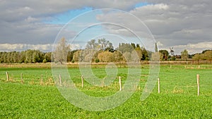 Lush green fields with trees on a cloudy day in the Flemish countryside photo