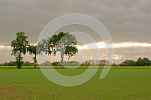 Farmland with trees on a cloudy day in the Flemish countryside photo