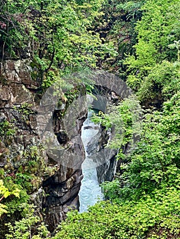 Lush green foliage surrounding rocky cliffs with a hidden river at Orrido di Sant\'Anna, Traffiume, Cannobio, Piemont, Italy,