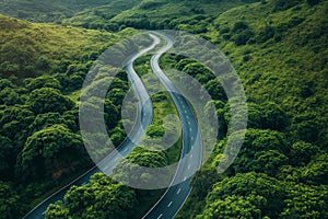 Lush green forest around a curved road